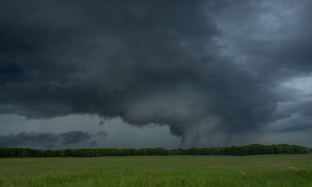 Two insurers report spike in March storm losses