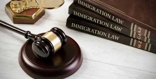 Visa Bulletin Effects on EB-2 NIW and EB-1A Self-Petitioners