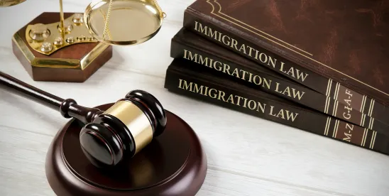 INTERPOL Notice in U.S. Immigration Law