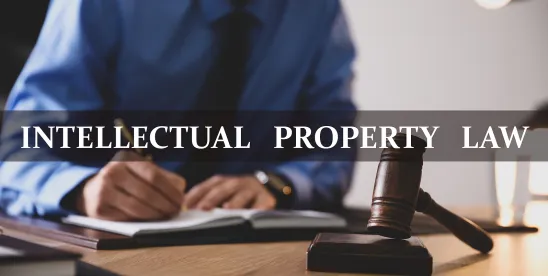 China’s SPC Releases Implementation Plan for Judicial Protection