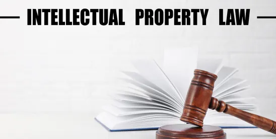 China’s SPC Published its Report on Legal Application Issues in I