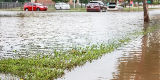 NFIP Flood Insurance Policy Pitfalls in South Carolina