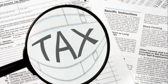 National Taxpayer Advocate Urges Taxpayers to Evaluate Refund Cla